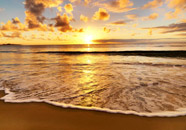 Alpha Cremation Service